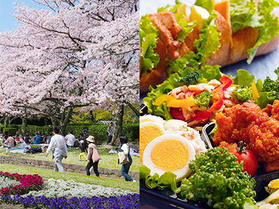 今年のお花見はオオハシスタイルで！