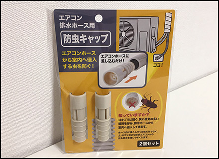 レイリア大橋 キャンドゥ